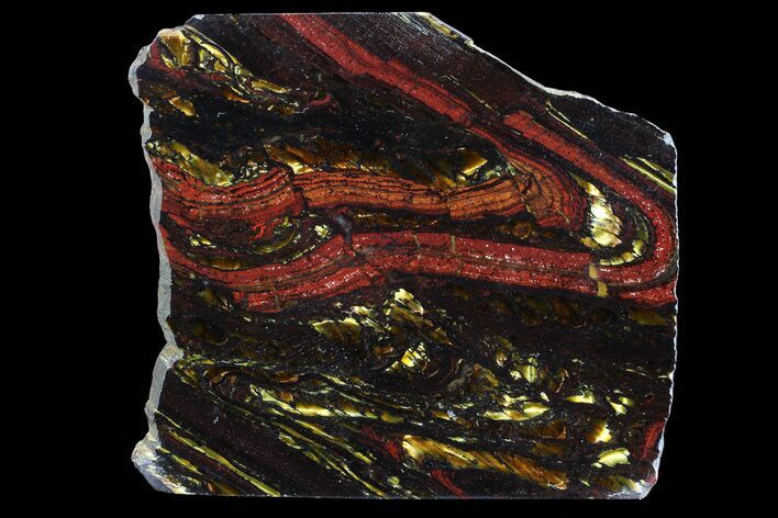 Polished Tiger Iron Stromatolite - ( Billion Years) #65325